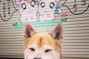 开云体育在线入口-“西甲明星闪耀全场，助力球队冲刺冠军”，西甲2021官方赞助