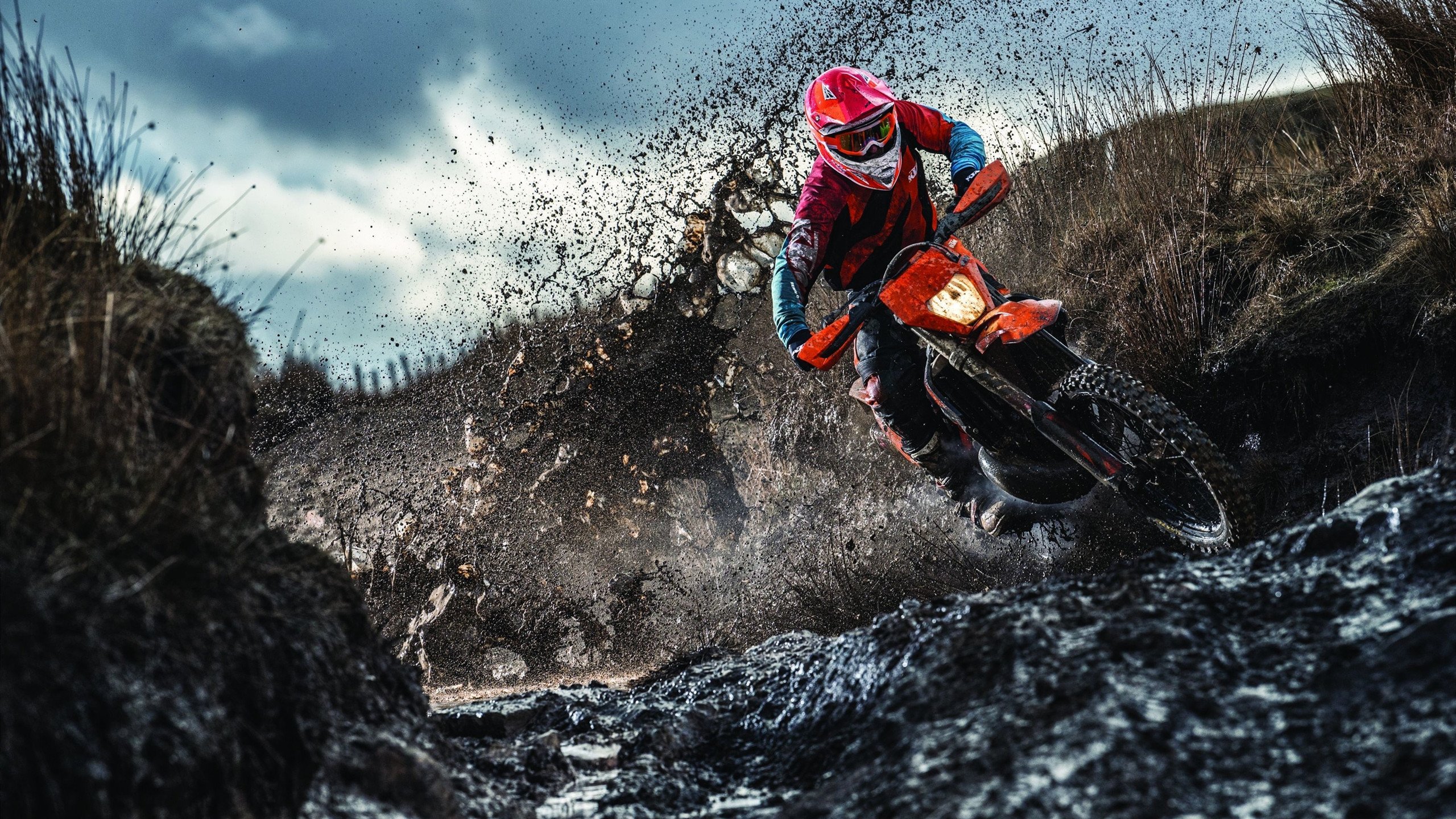 伊朗马术协会推出马术运动员健康管理系统，关注运动员身心健康。