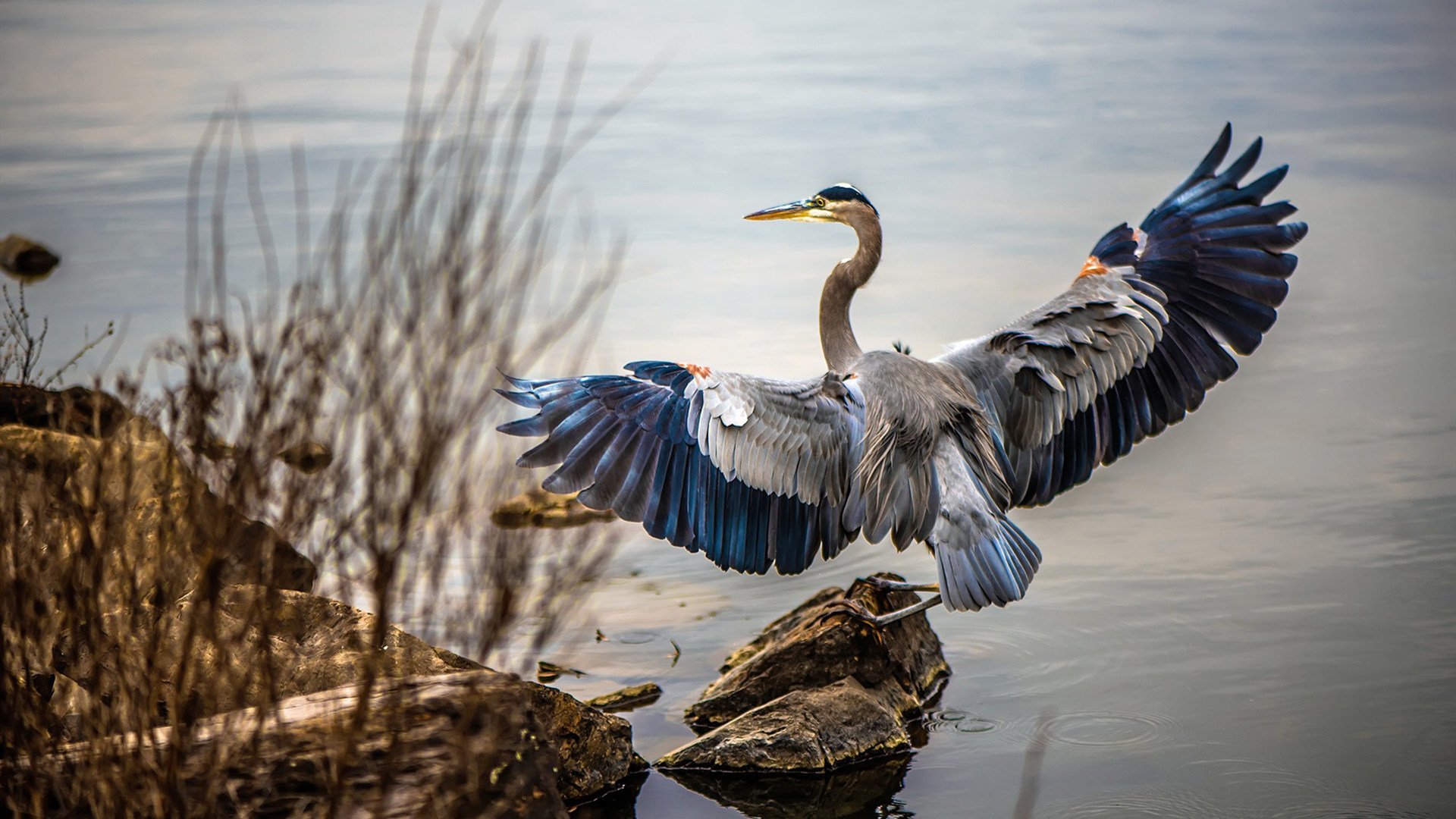 全国青少年“环保篮球公益赛”在兰州持续火热，践行绿色发展理念
